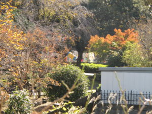 View from my house